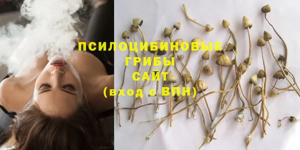 наркотики Богородск