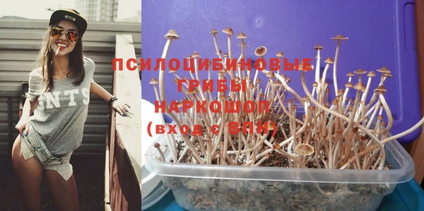 первитин Богданович